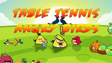 -  Angry Birds